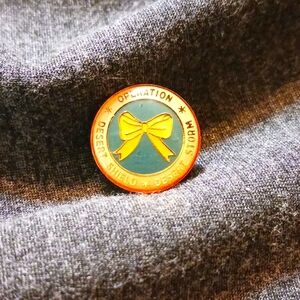 Operation Desert Sheild/Desert Storm pin
